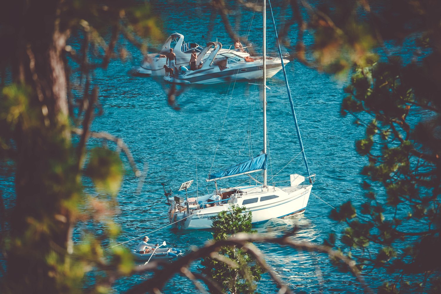yachts peering through the trees